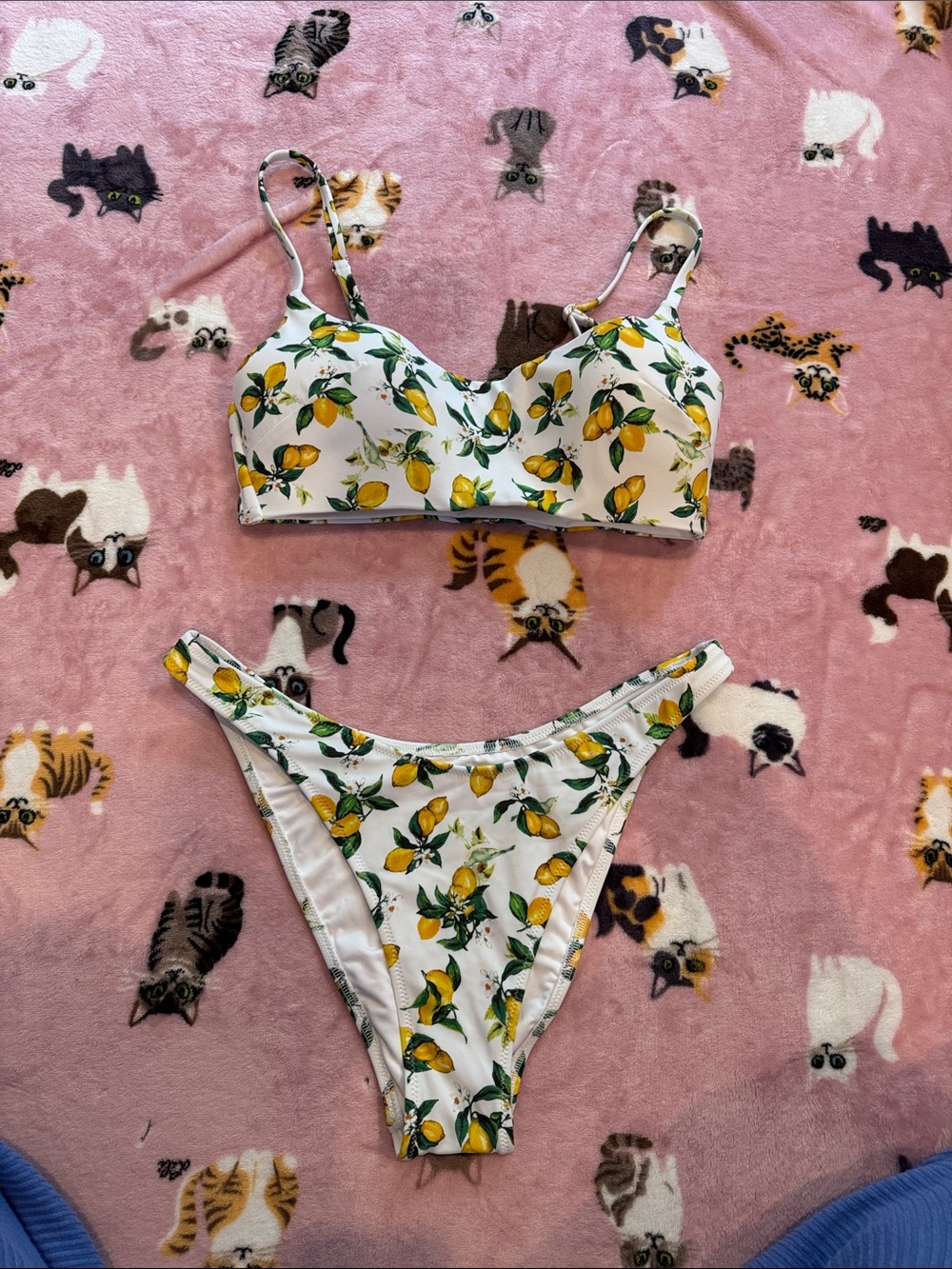 VICTORIA SECRET Lemon-Print Bikini Set - Women Swim